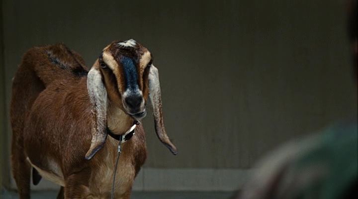 The Men Who Stare at Goats (2009) DVDRip XviD-MAXSPEED www.torentz.3xforum.ro.avi_003660280.jpg